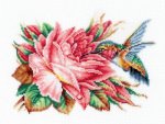 (image for) Hummingbird And Rose